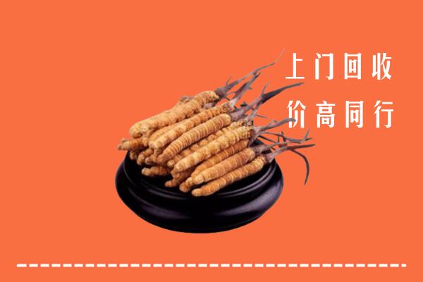 高价求购：宜春市回收散虫草