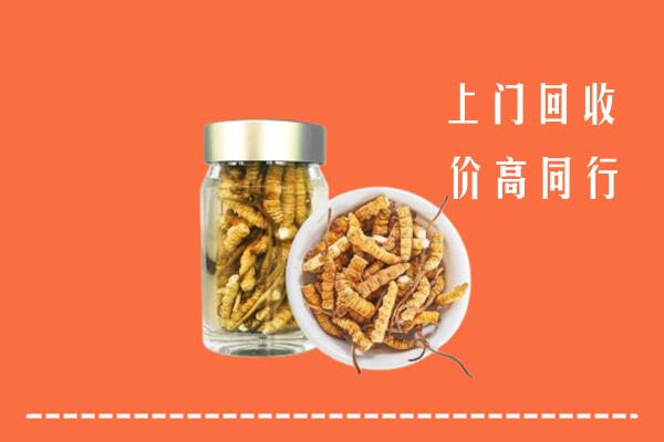 宜春市回收冬虫夏草